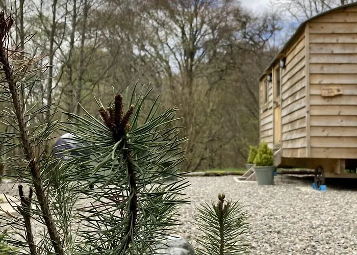 Highland Bear Lodge & Woodland Bear Huts